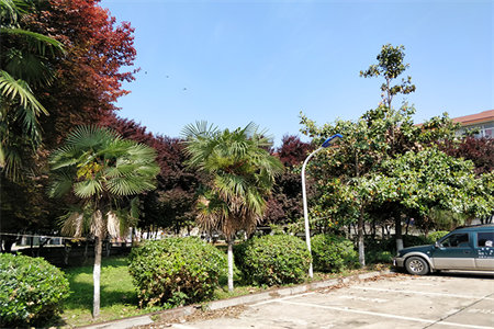 御泉龙庭3室2厅1卫60万137m2出售带储藏分期